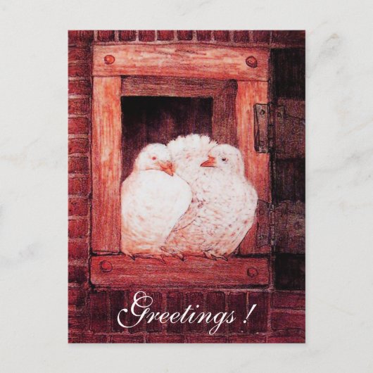 WEISS AN DER FENSTER ROT POSTKARTE (Vorderseite)