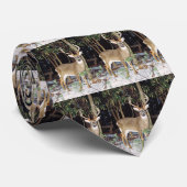 Weiß angebundene Dollar-Krawatte Krawatte (Gerollt)