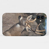 Weiß-Angebundene Rotwild - iPhone 5 Abdeckung Case-Mate iPhone Hülle (Rückseite (Horizontal))