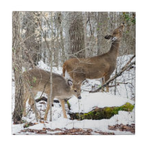 Weiß-Angebundene Rotwild-Keramik-Foto-Fliese