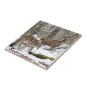 Weiß-Angebundene Rotwild-Keramik-Foto-Fliese Fliese (Seite)