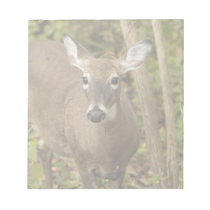 Weiß angebundene Rotwild Notizblock