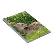 Weiß-angebundene Rotwild (Odocoileus virginianus) Notizblock (Rechte Seite)