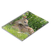 Weiß-angebundene Rotwild (Odocoileus virginianus) Notizblock (Linke Seite)
