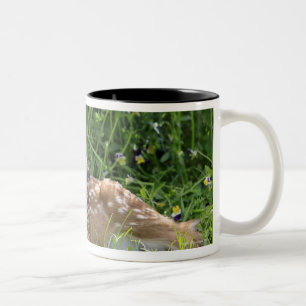 Weiß-angebundene Rotwild (Odocoileus virginianus) Zweifarbige Tasse