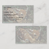 Weiß-angebundene Rotwild Visitenkarte (Vorne/Hinten)