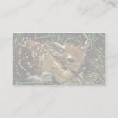 Weiß-angebundene Rotwild Visitenkarte (Rückseite)