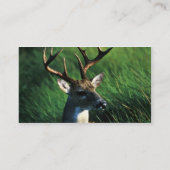 Weiß-angebundener Dollar Visitenkarte (Rückseite)