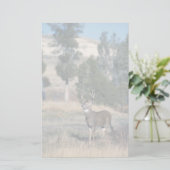 Weiß-angebundener Rotwilddollar Briefpapier (Stehend Vorderseite)