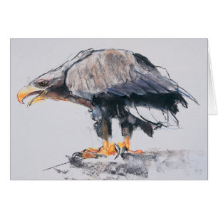 Weiß angebundenes Meer Eagle 2001