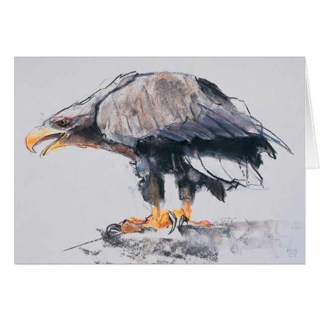 Weiß angebundenes Meer Eagle 2001 (Vorderseite (Horizontal))