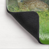 Weiß-Angebundenes Rotwild schmeichelt sich Mousepad (Ecke)