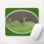 Weiß-Angebundenes Rotwild schmeichelt sich Mousepad (Mit Mouse)