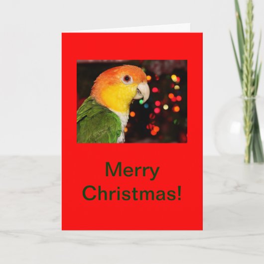 Weiß aufgeblähte Caique-Papageien-frohe Feiertagskarte (Vorderseite)