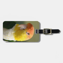 Weiß aufgeblähter Caique-Papagei Gepäckanhänger