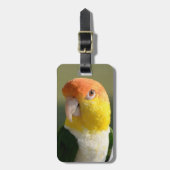 Weiß aufgeblähter Caique-Papagei Gepäckanhänger (Vorderseite vertikal)