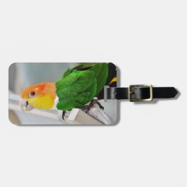 Weiß aufgeblähter Caique-Papagei Gepäckanhänger