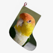 Weiß aufgeblähter Caique-Papagei Großer Weihnachtsstrumpf (Vorderansicht (hängend))