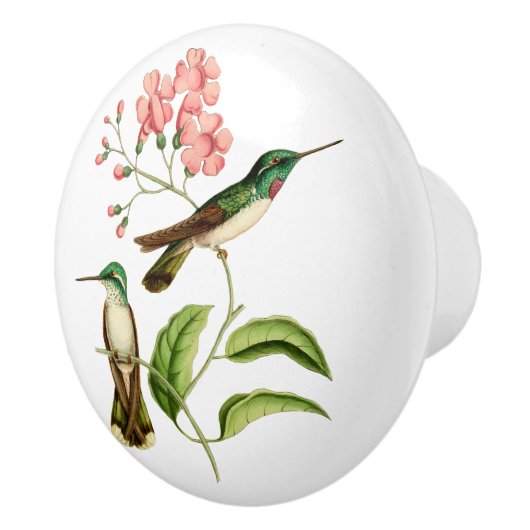 Weiß aufgeblähter Gebirgsedelstein-Kolibri Keramikknauf (Rechts)