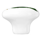 Weiß aufgeblähter hölzerner Stern-Kolibri Keramikknauf (Seitenansicht)