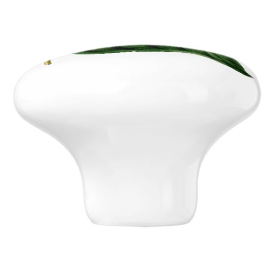 Weiß aufgeblähter hölzerner Stern-Kolibri Keramikknauf (Seitenansicht)