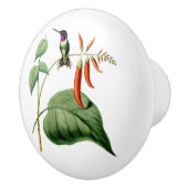 Weiß aufgeblähter hölzerner Stern-Kolibri Keramikknauf (Rechts)