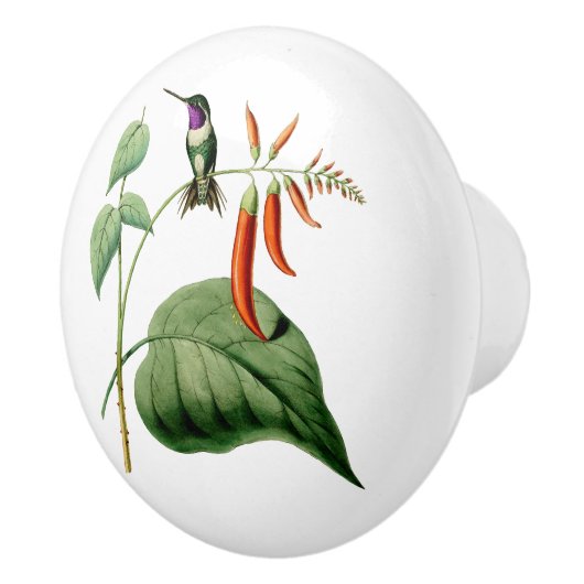 Weiß aufgeblähter hölzerner Stern-Kolibri Keramikknauf (Rechts)