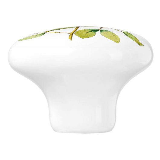 Weiß aufgeblähter Smaragdkolibri Keramikknauf (Seitenansicht)