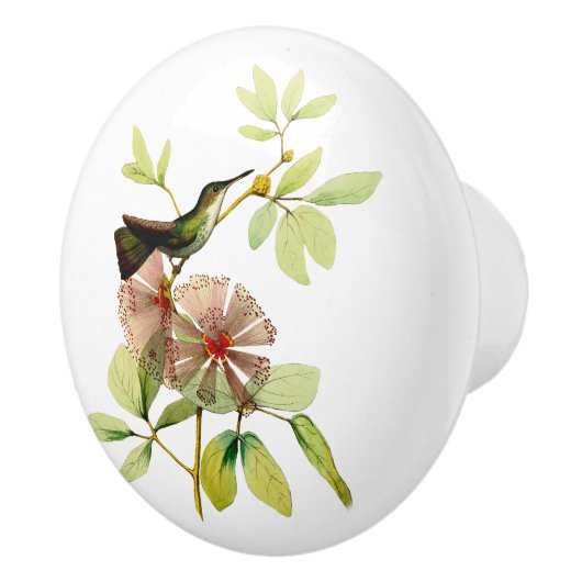 Weiß aufgeblähter Smaragdkolibri Keramikknauf (Rechts)