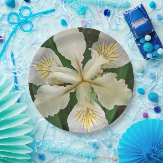 Weiß Beunabhängig Iris Bloom Floral Pappteller (Party)