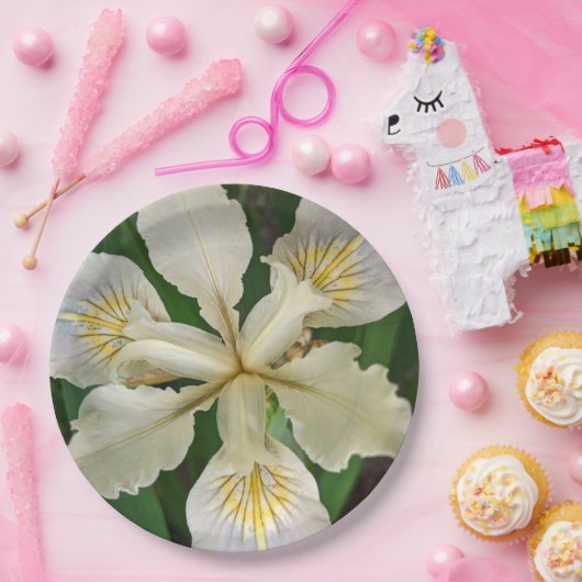 Weiß Beunabhängig Iris Bloom Floral Pappteller (Party)