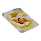 Weiß bis Gelb Magnet (Rechte Seite)