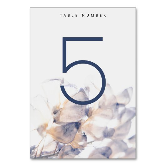 WEISS & BLAU PATELE BLUMENBLUMENPLATTE TABELLE NR. TISCHNUMMER (Rückseite)