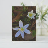weiß blühen RSVP karte (Stehend Vorderseite)