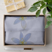 weiß blühen seidenpapier (Geschenk)