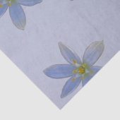 weiß blühen seidenpapier (Detail)