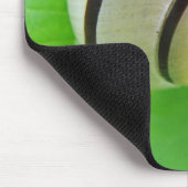 Weiß-braune Schnecke Mousepad (Ecke)