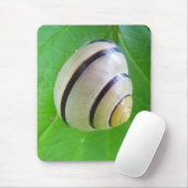 Weiß-braune Schnecke Mousepad (Mit Mouse)