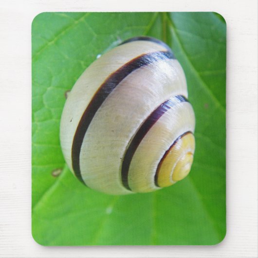 Weiß-braune Schnecke Mousepad (Vorne)