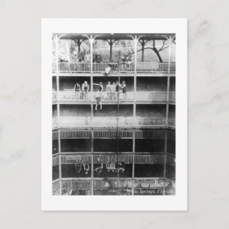 Weiß entspringt Vintages Foto Floridas das Postkarte