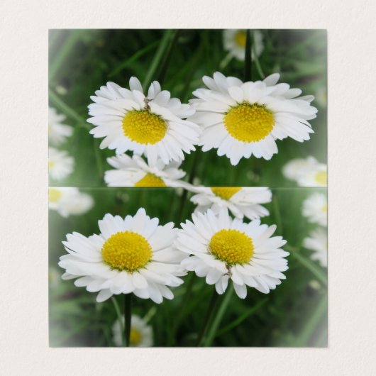 Weiß-Floor Custom Horizontal Zelt Falte geklappt Visitenkarten (Außenseite Aufgefaltet)