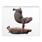 Weiß Funny Hippos 2024 Kalender (Titelbild)