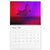 Weiß Funny Hippos 2024 Kalender (Feb 2026)