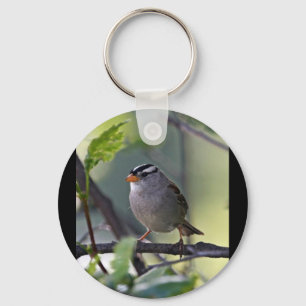 Weiß-gekrönter Spatz Schlüsselanhänger