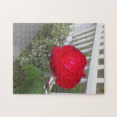 Weiß gepflückter Zaun und eine wunderschöne rote R Puzzle (Horizontal)