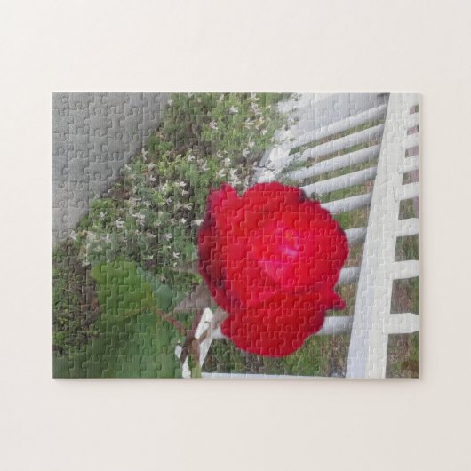 Weiß gepflückter Zaun und eine wunderschöne rote R Puzzle (Horizontal)