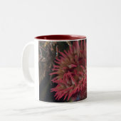 Weiß-gepunktete Rosen-Anemone Zweifarbige Tasse (Vorderseite Links)
