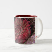 Weiß-gepunktete Rosen-Anemone Zweifarbige Tasse (VorderseiteRechts)