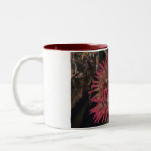 Weiß-gepunktete Rosen-Anemone Zweifarbige Tasse (Links)