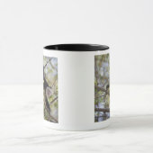 Weiß-Gesichtiger Capuchin, Guanacaste, Costa Rica Tasse (Zentrum)